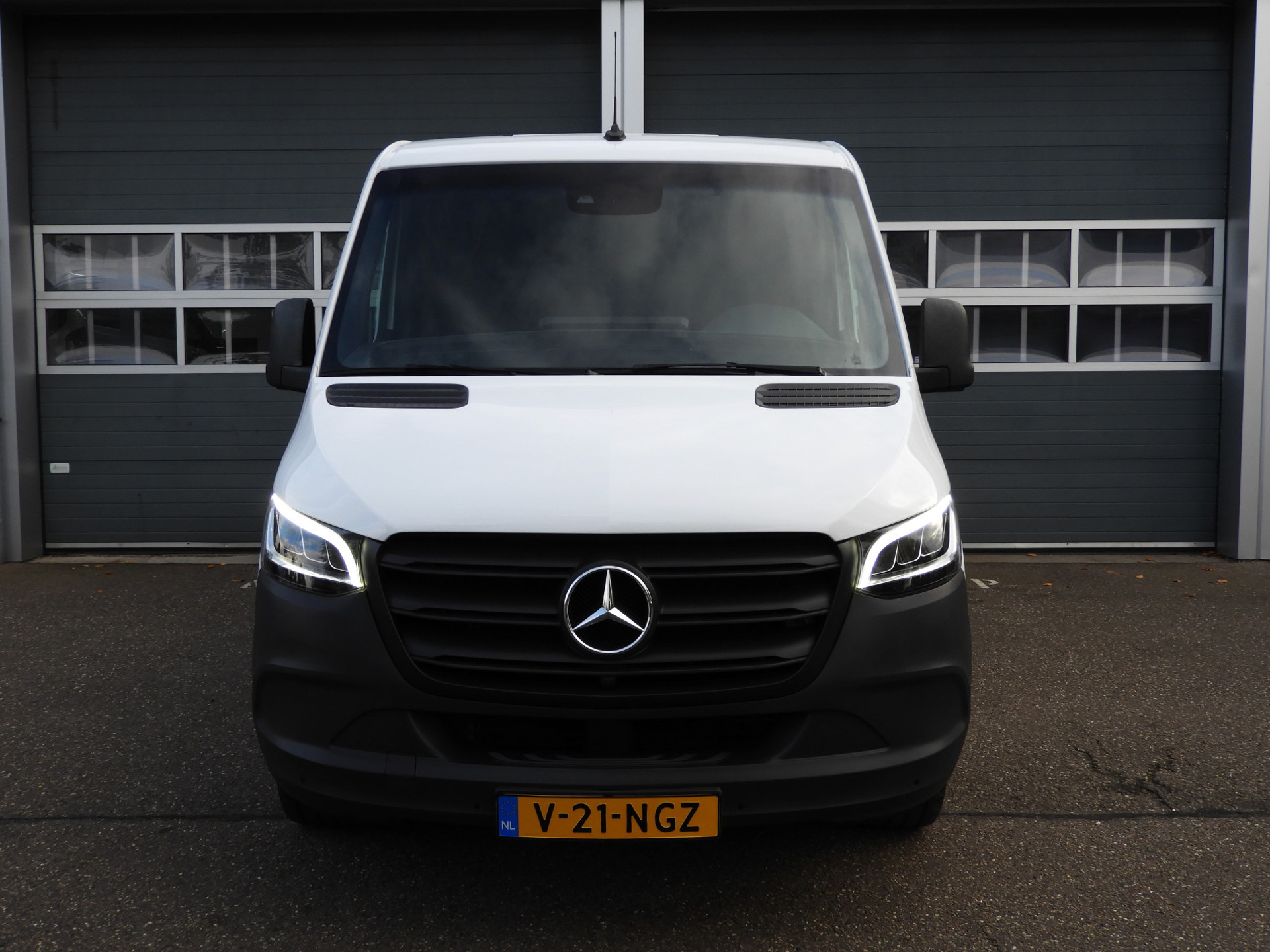 48564386-1.jpg