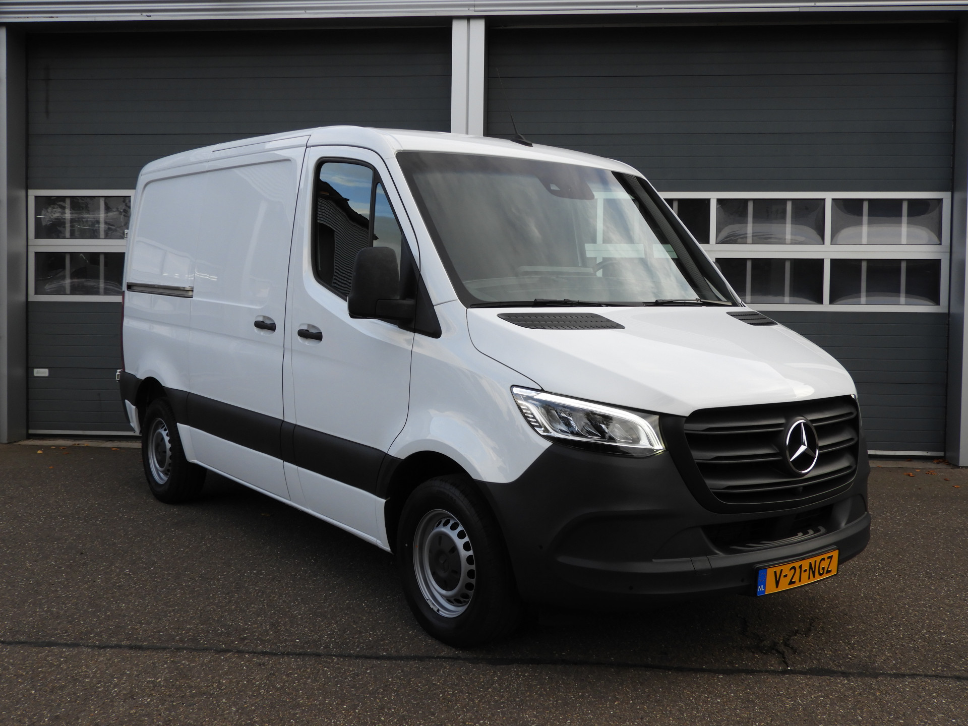 48564386-2.jpg