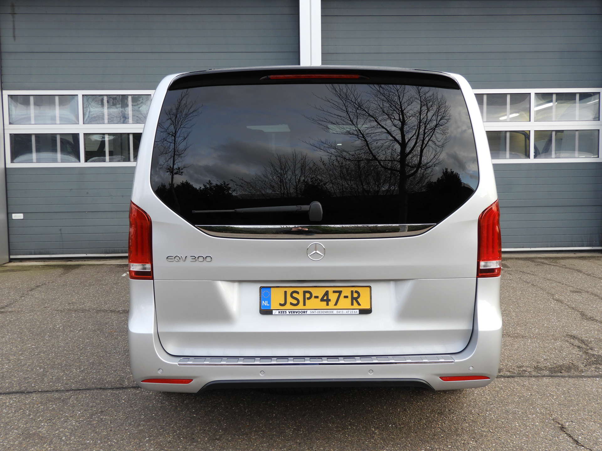 50653830-6.jpg