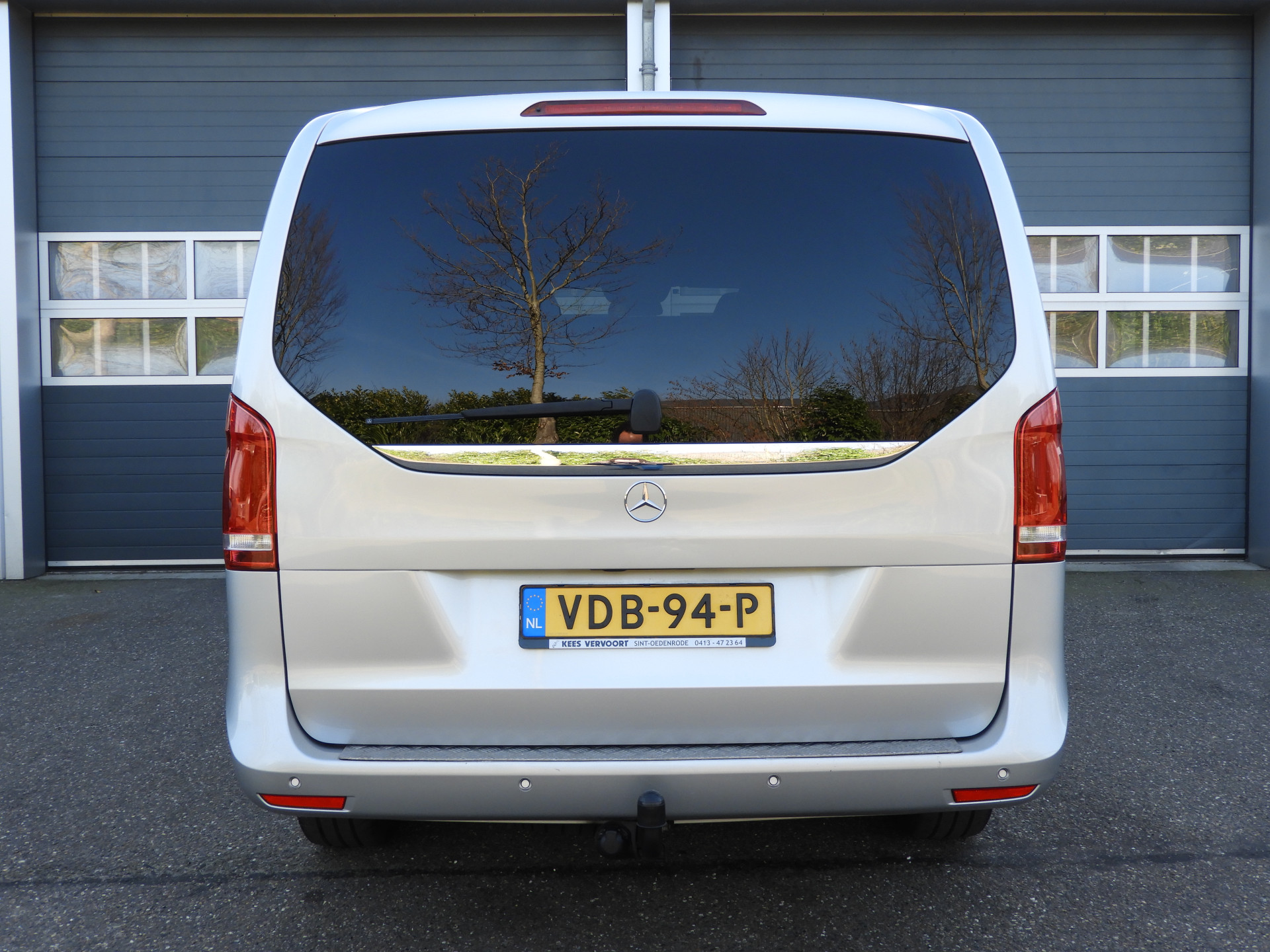 51750445-5.jpg