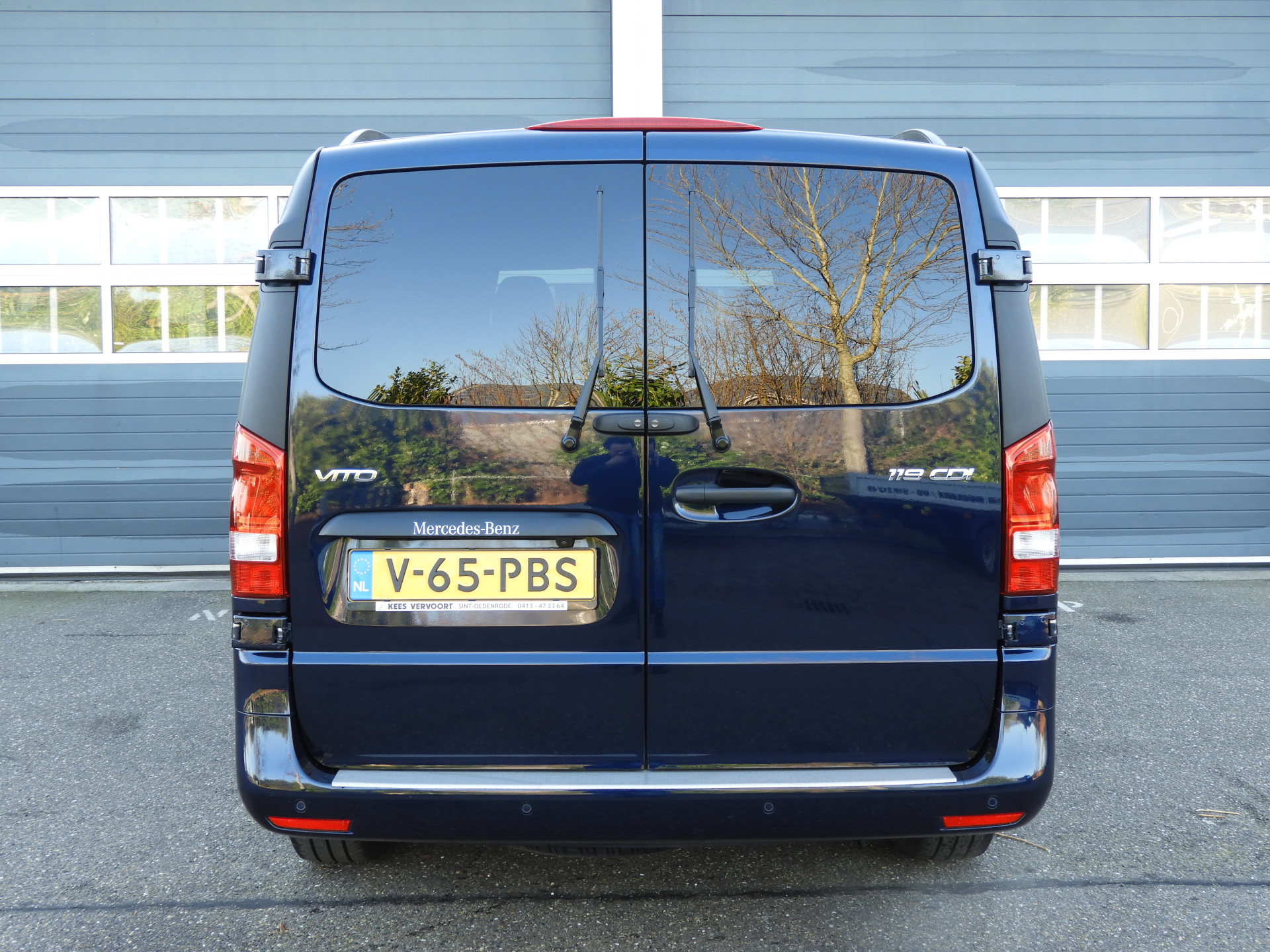 51886540-5.jpg