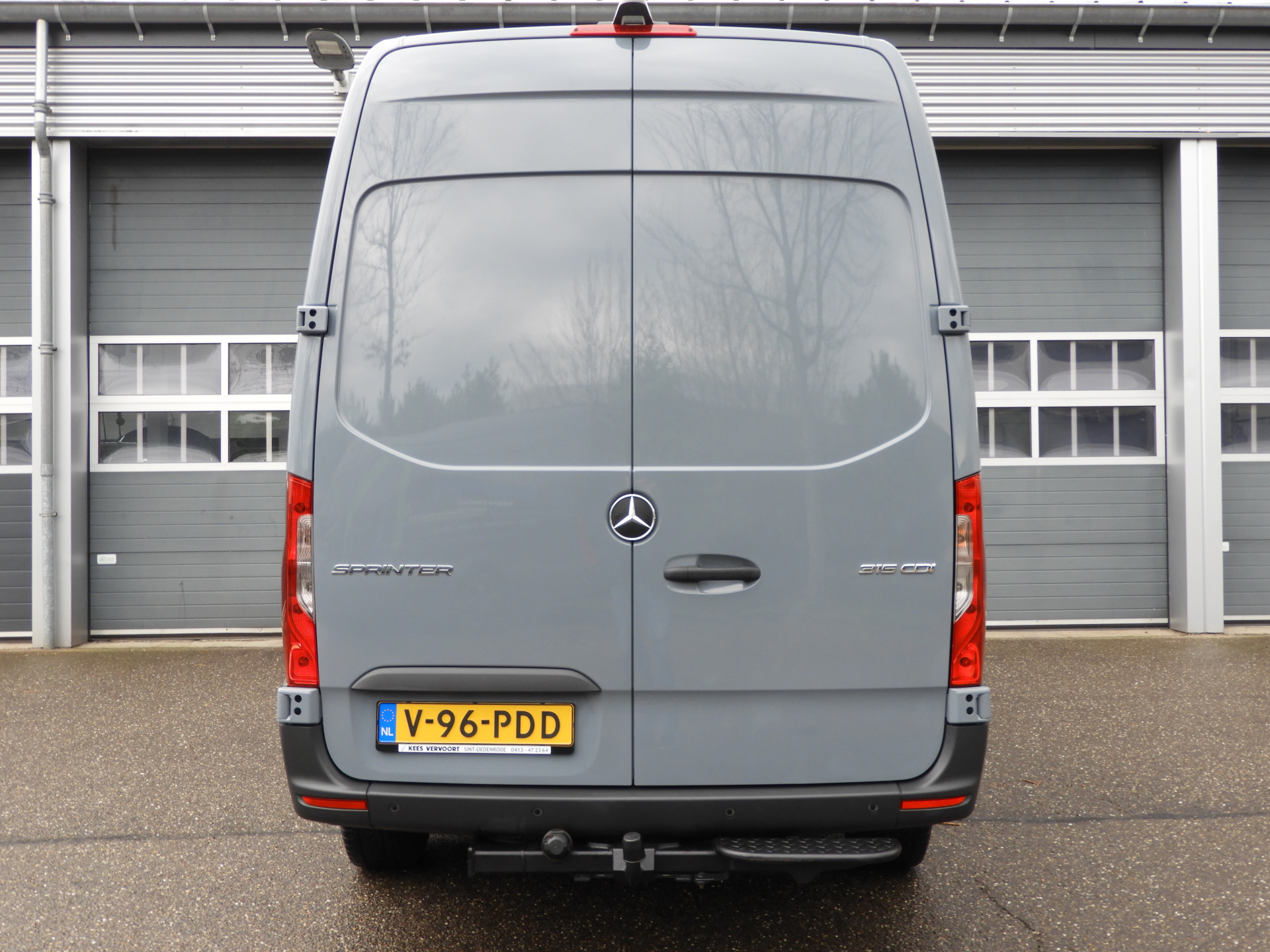 51940040-5.jpg