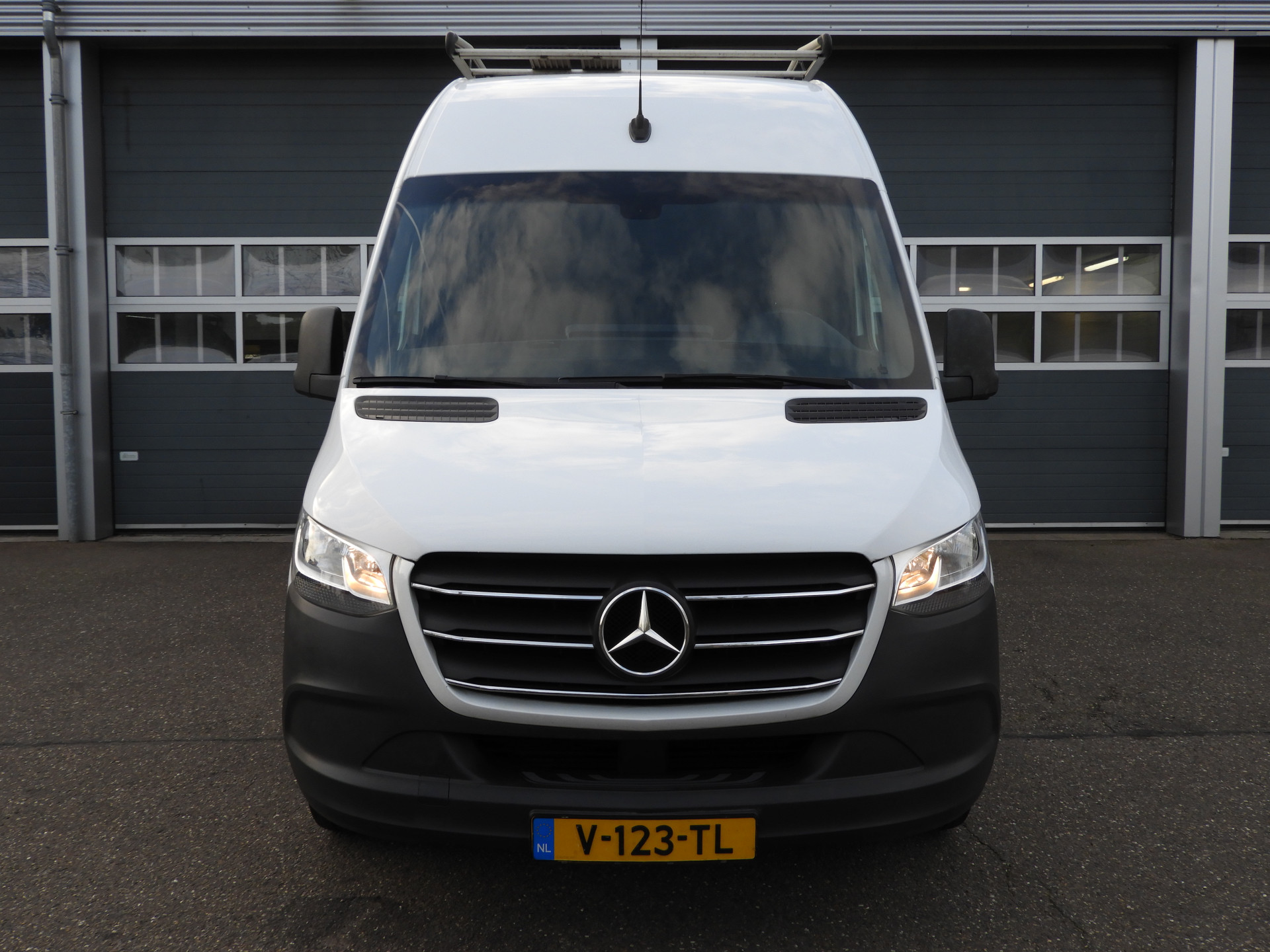 52609926-1.jpg