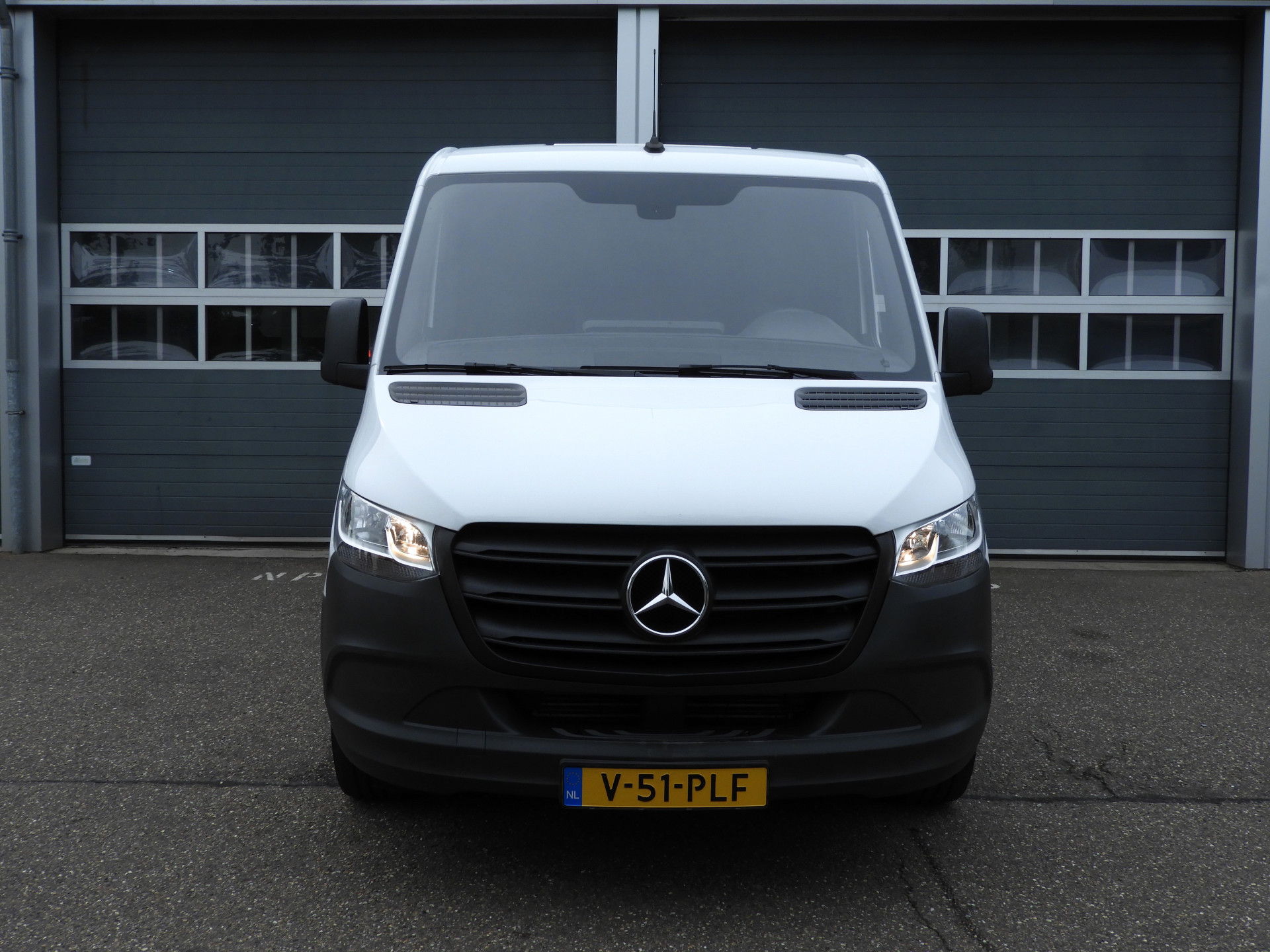 54138453-1.jpg