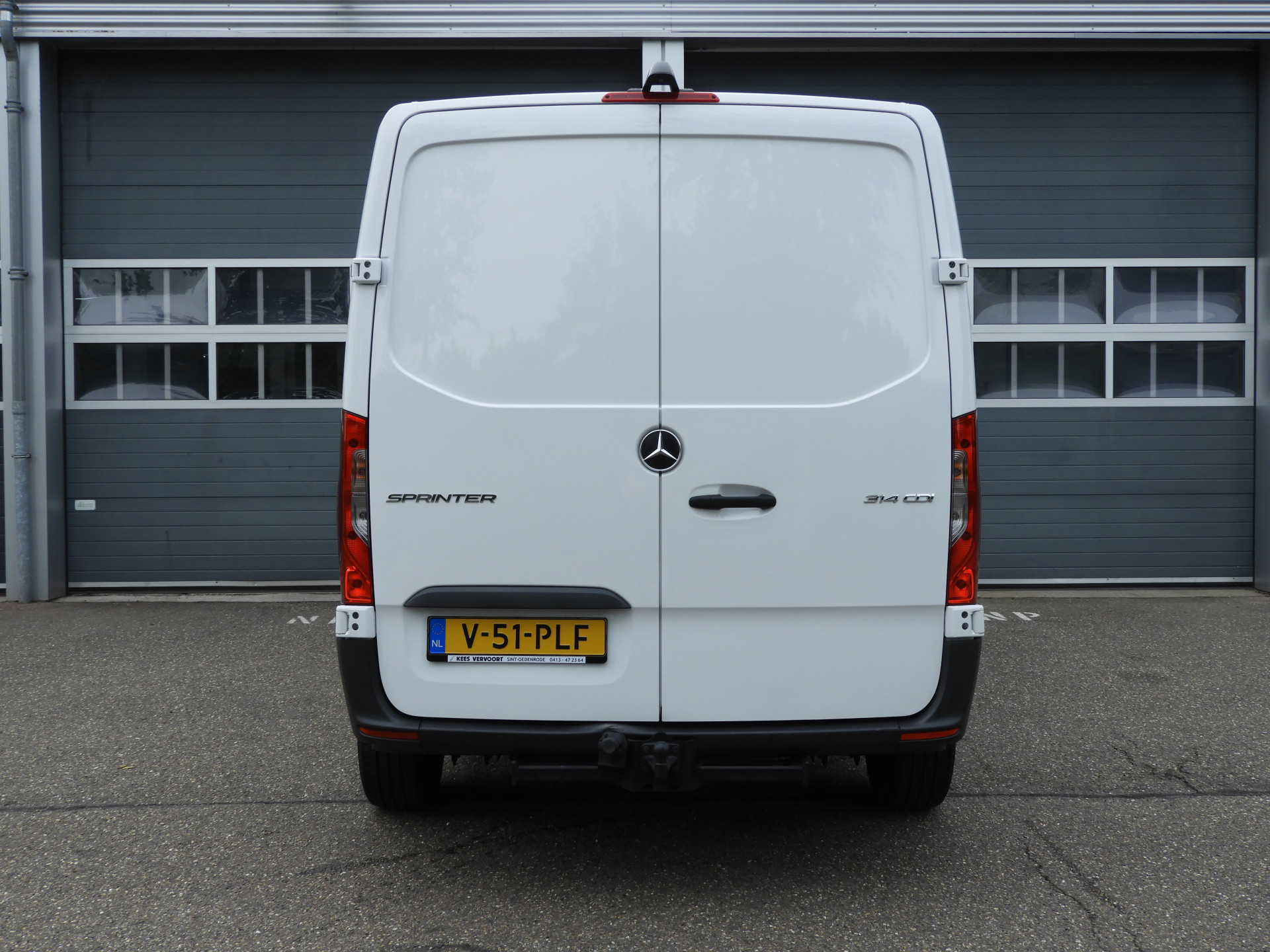 54138453-5.jpg