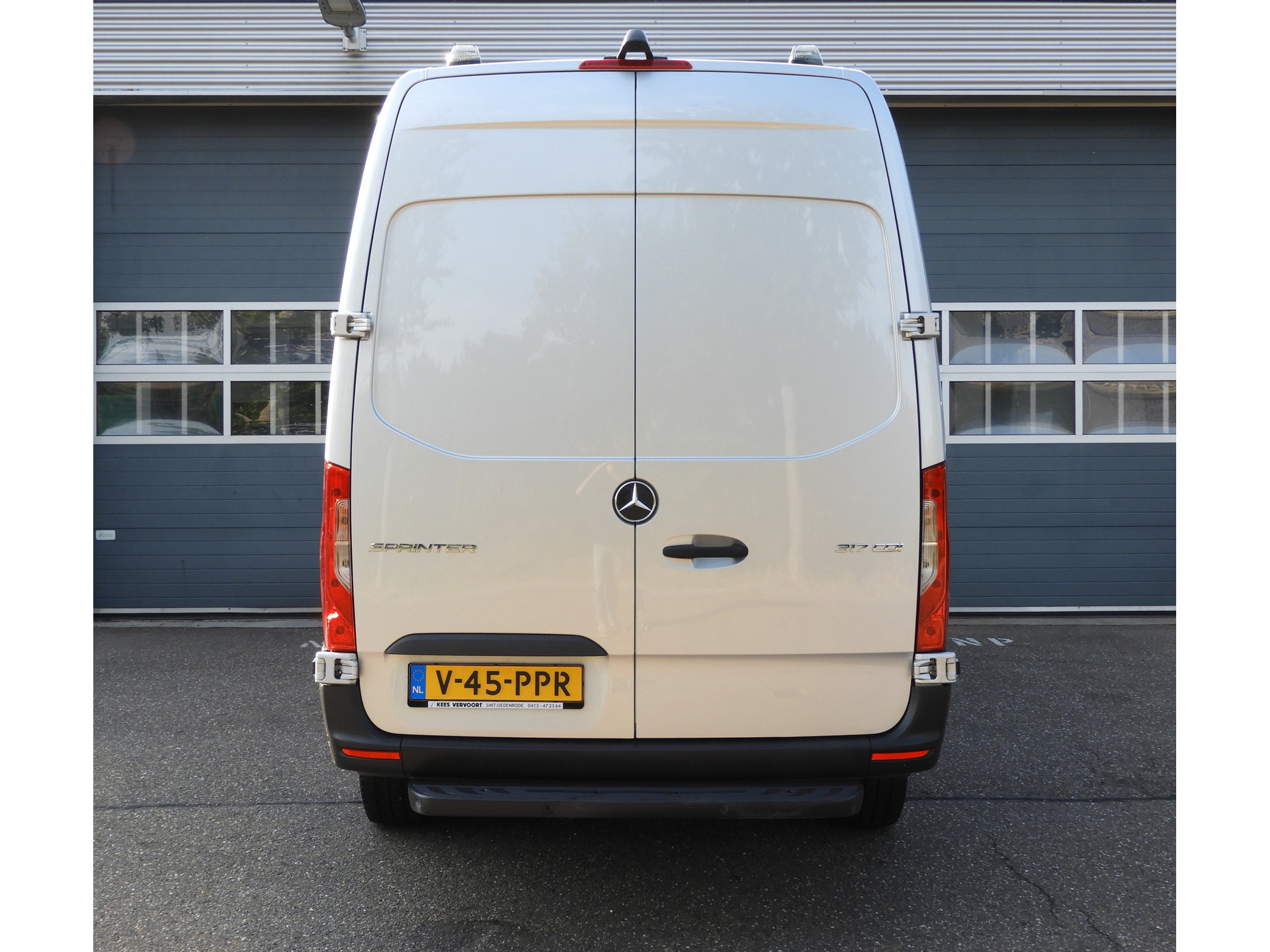 55011030-5.jpg