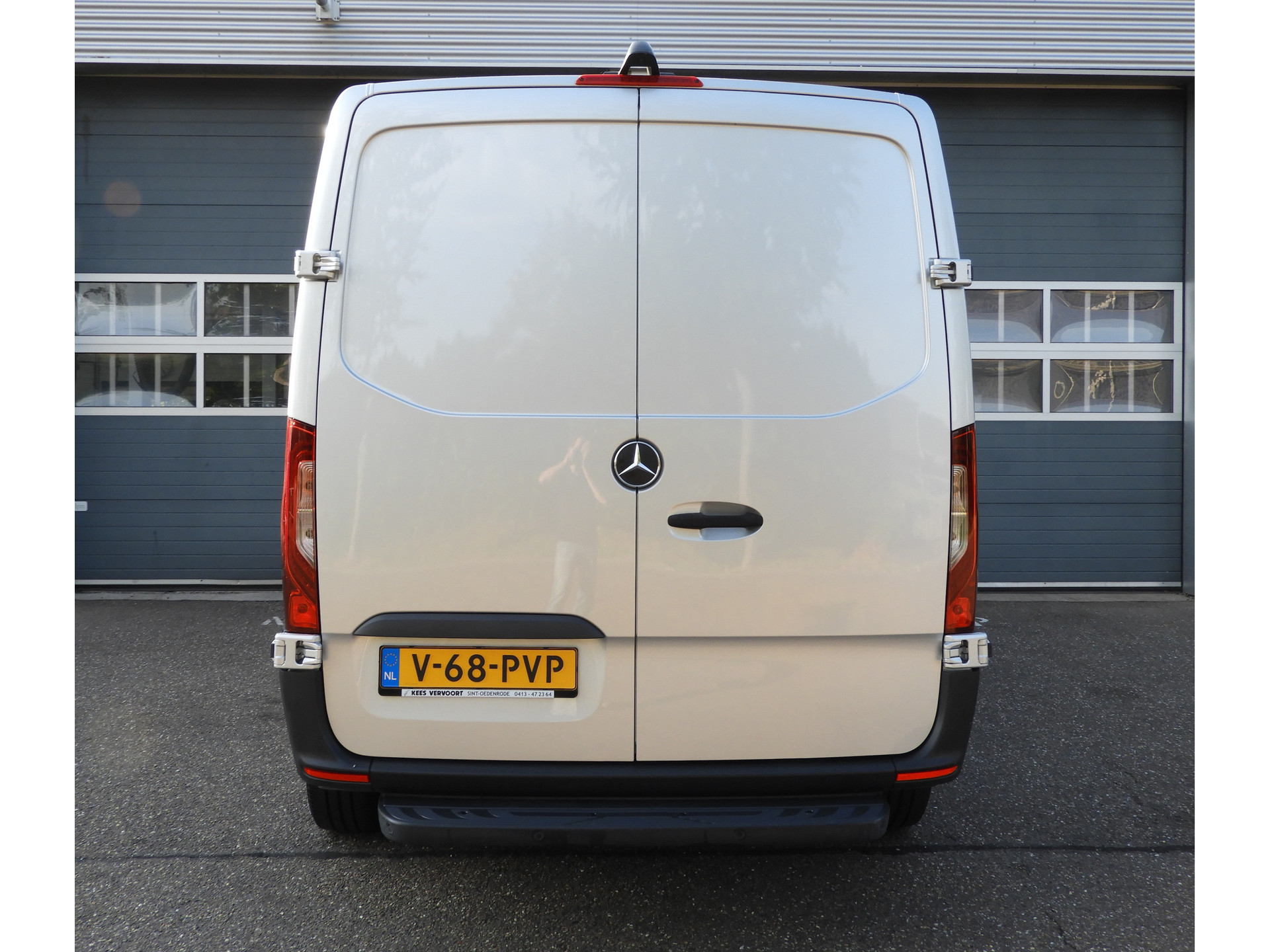 55013163-5.jpg